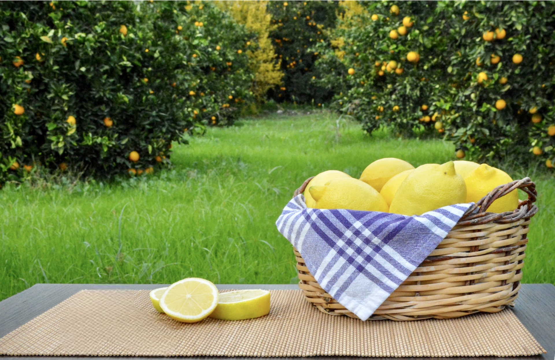 Limon