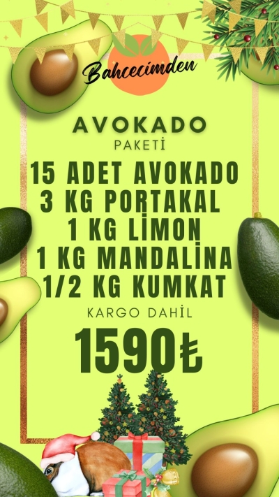 Avokadolu paket 